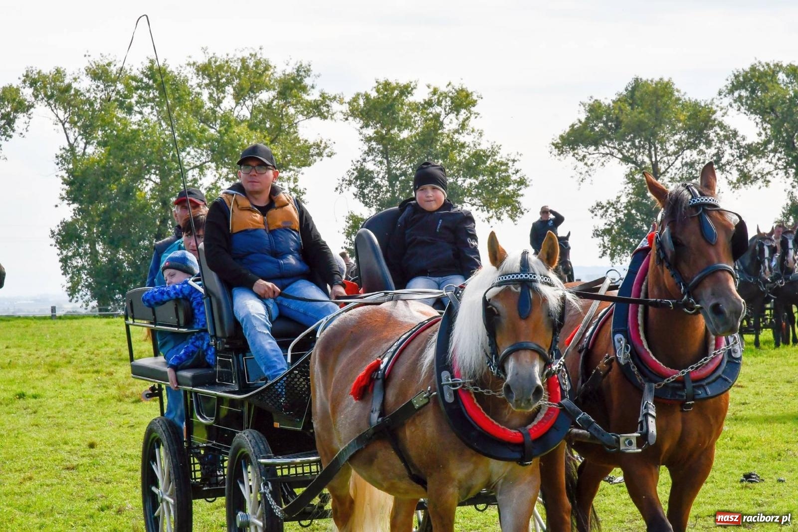 Zdjęcie w galerii na portalu naszraciborz.pl: Ponad sto koni na żerdzińskim Hubertusie [FOTO i WIDEO] wiadomości z regionu