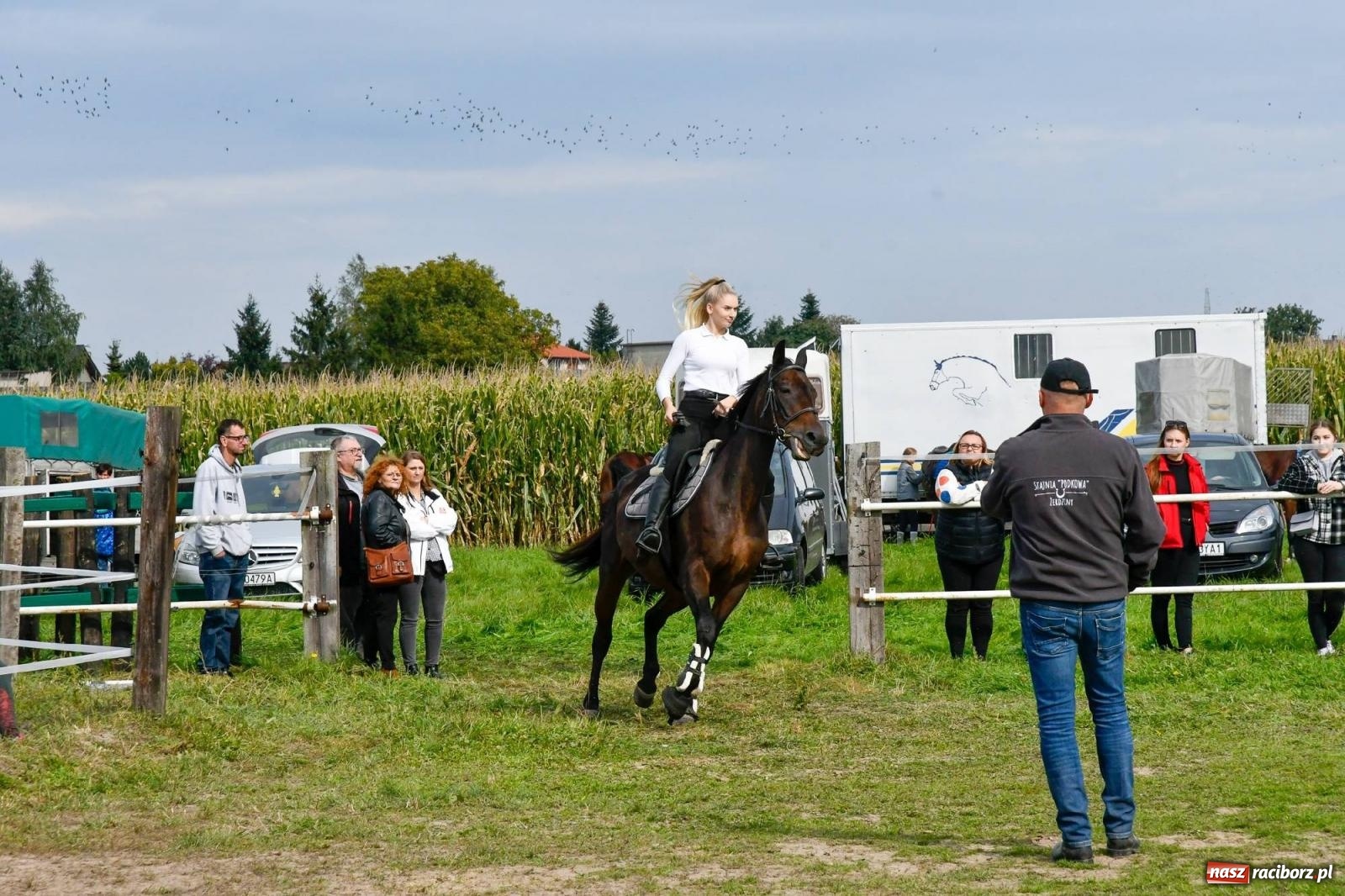 Zdjęcie w galerii na portalu naszraciborz.pl: Ponad sto koni na żerdzińskim Hubertusie [FOTO i WIDEO] wiadomości z regionu