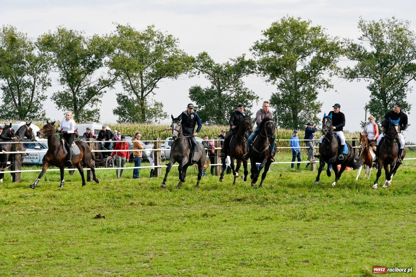 Zdjęcie w galerii na portalu naszraciborz.pl: Ponad sto koni na żerdzińskim Hubertusie [FOTO i WIDEO] wiadomości z regionu