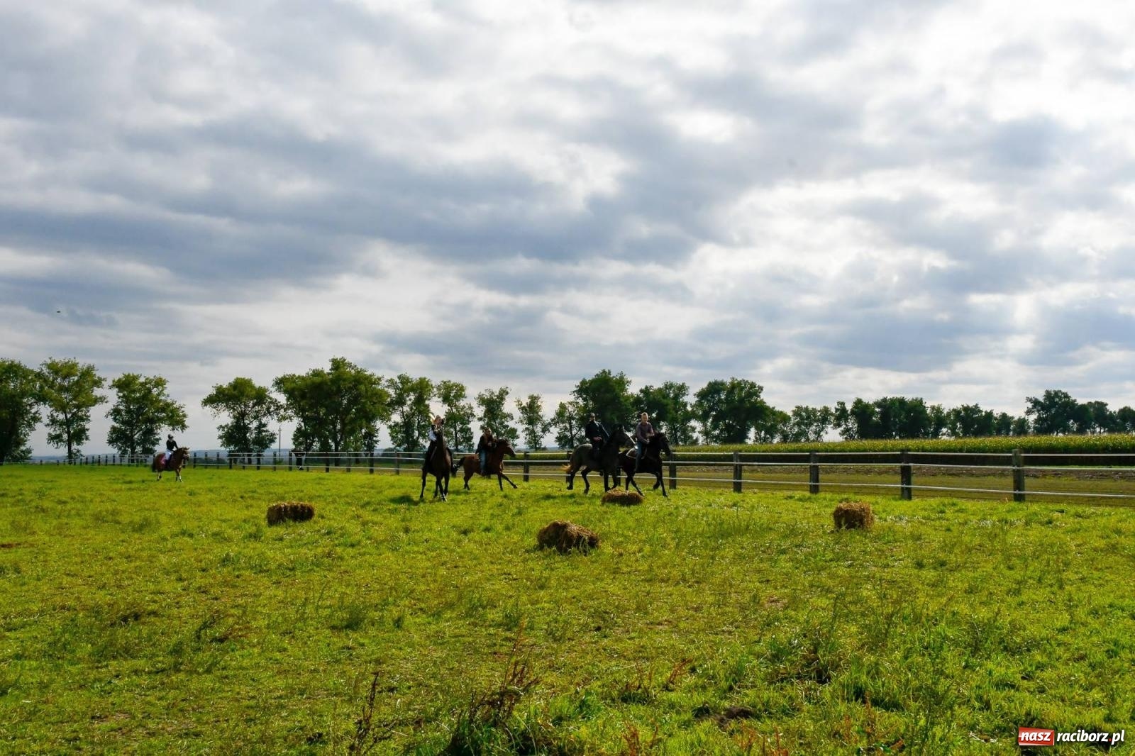 Zdjęcie w galerii na portalu naszraciborz.pl: Ponad sto koni na żerdzińskim Hubertusie [FOTO i WIDEO] wiadomości z regionu