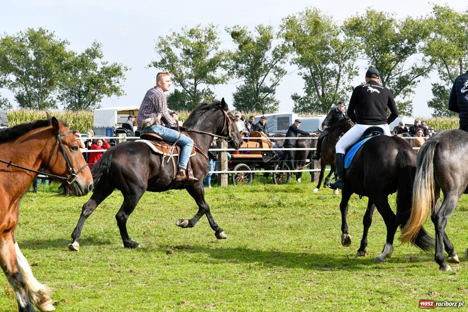 Zdjęcie w galerii na portalu naszraciborz.pl: Ponad sto koni na żerdzińskim Hubertusie [FOTO i WIDEO] wiadomości z regionu