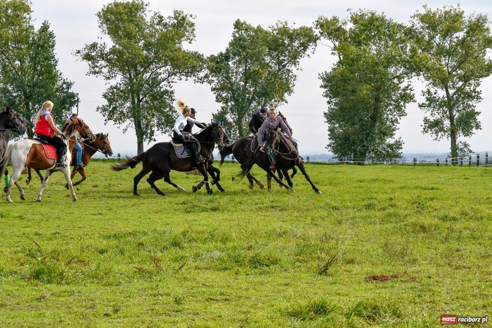 Zdjęcie w galerii na portalu naszraciborz.pl: Ponad sto koni na żerdzińskim Hubertusie [FOTO i WIDEO] wiadomości z regionu