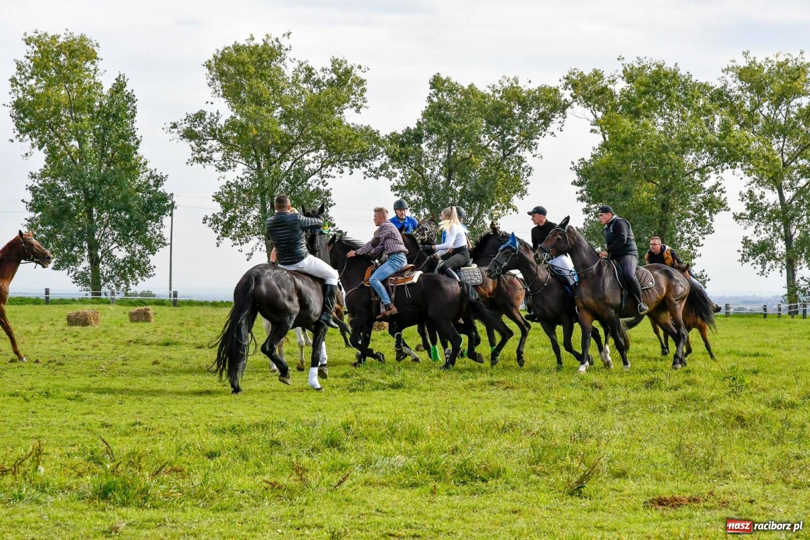 Zdjęcie w galerii na portalu naszraciborz.pl: Ponad sto koni na żerdzińskim Hubertusie [FOTO i WIDEO] wiadomości z regionu