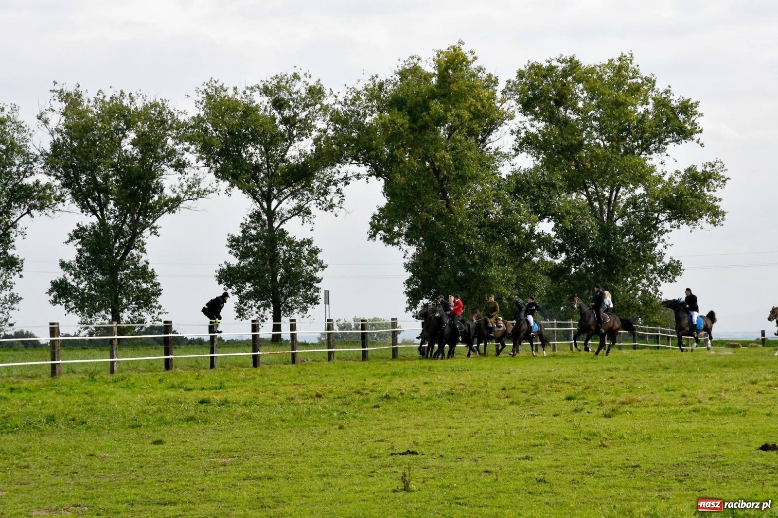 Zdjęcie w galerii na portalu naszraciborz.pl: Ponad sto koni na żerdzińskim Hubertusie [FOTO i WIDEO] wiadomości z regionu