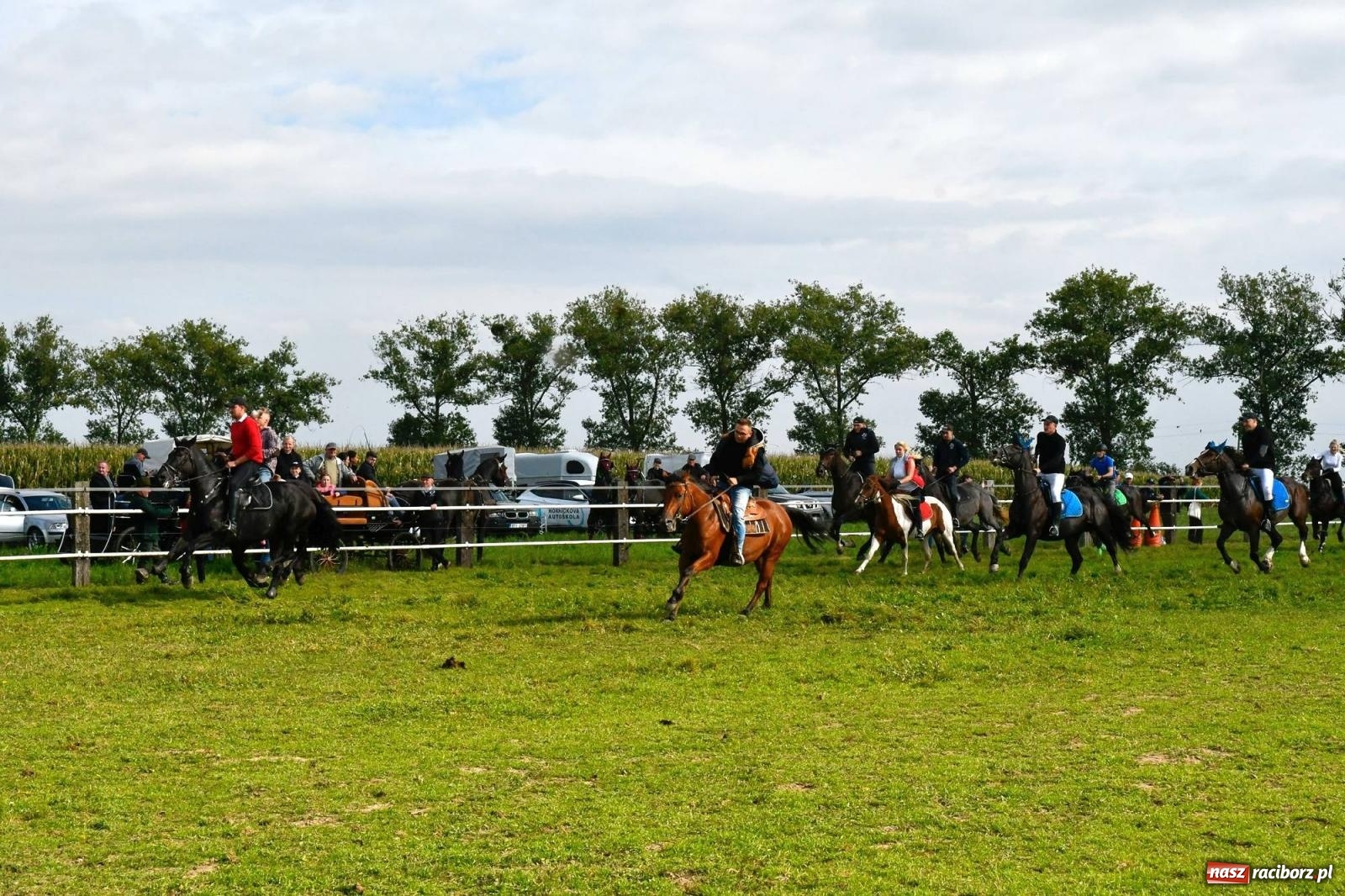 Zdjęcie w galerii na portalu naszraciborz.pl: Ponad sto koni na żerdzińskim Hubertusie [FOTO i WIDEO] wiadomości z regionu