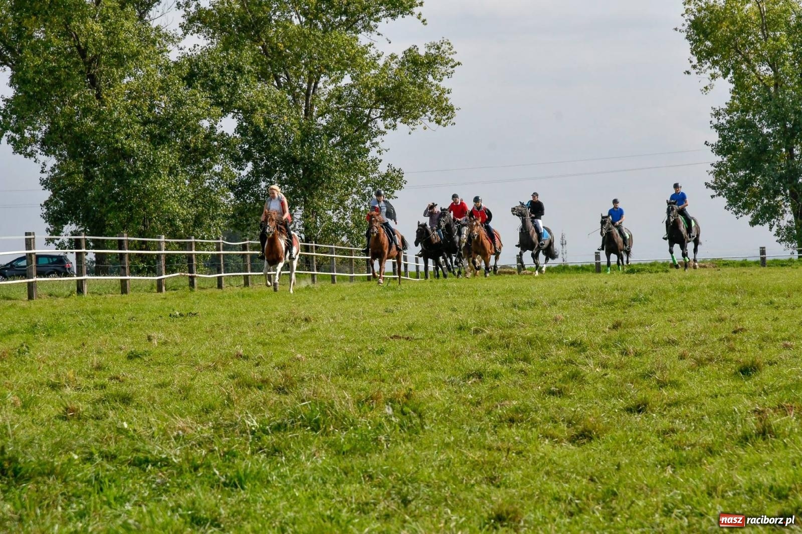 Zdjęcie w galerii na portalu naszraciborz.pl: Ponad sto koni na żerdzińskim Hubertusie [FOTO i WIDEO] wiadomości z regionu