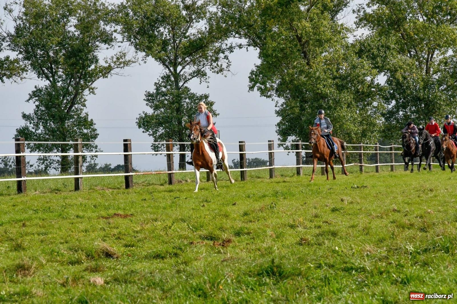 Zdjęcie w galerii na portalu naszraciborz.pl: Ponad sto koni na żerdzińskim Hubertusie [FOTO i WIDEO] wiadomości z regionu