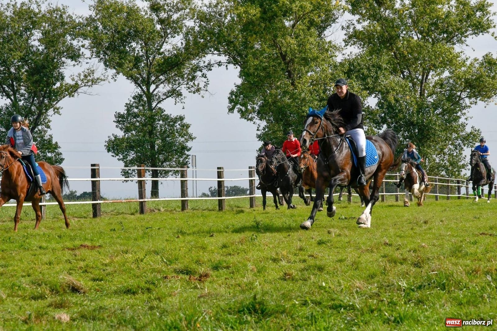 Zdjęcie w galerii na portalu naszraciborz.pl: Ponad sto koni na żerdzińskim Hubertusie [FOTO i WIDEO] wiadomości z regionu