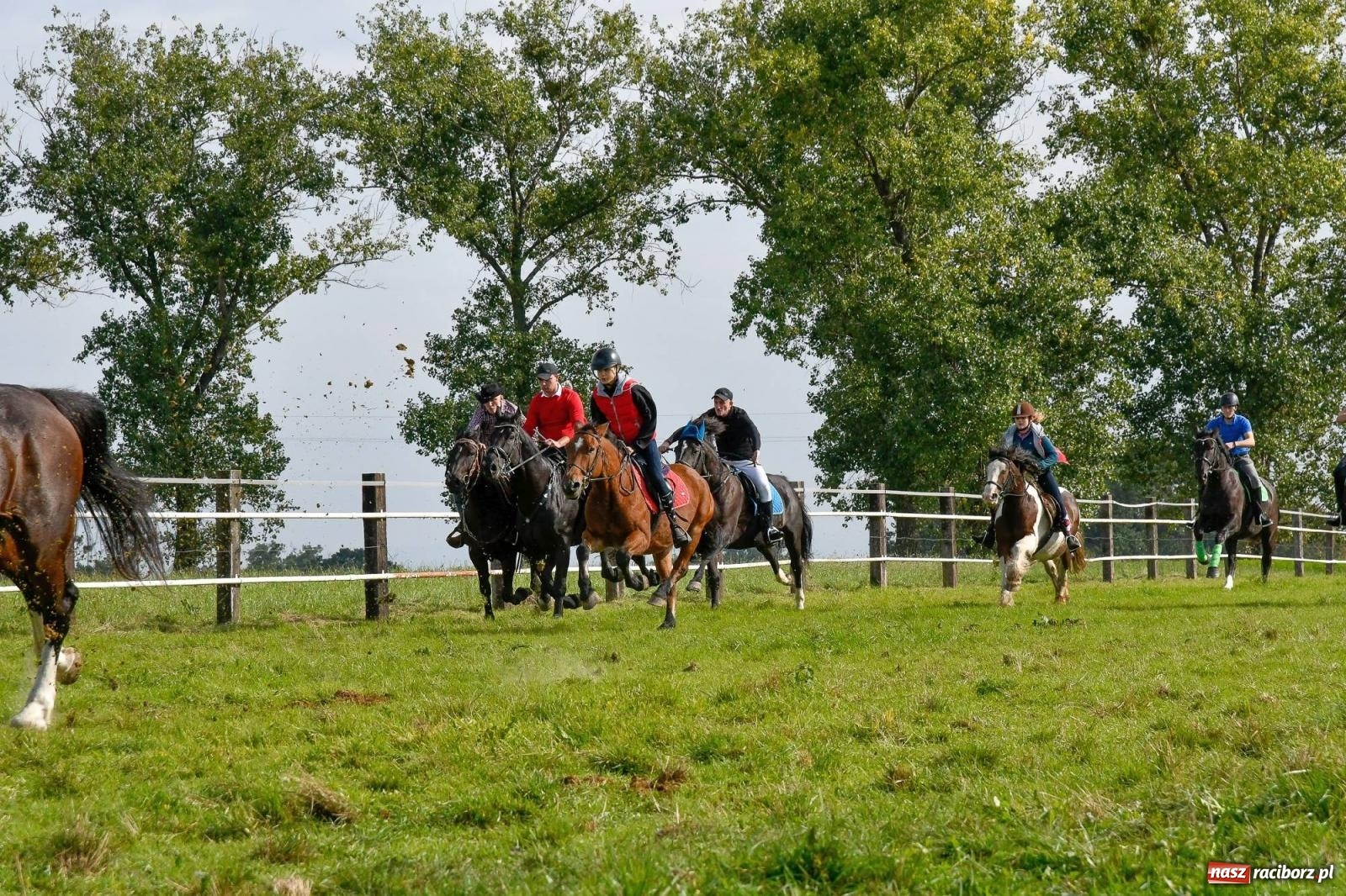 Zdjęcie w galerii na portalu naszraciborz.pl: Ponad sto koni na żerdzińskim Hubertusie [FOTO i WIDEO] wiadomości z regionu