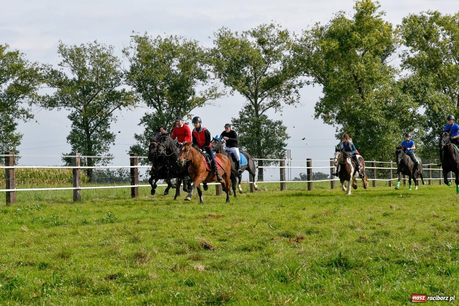 Zdjęcie w galerii na portalu naszraciborz.pl: Ponad sto koni na żerdzińskim Hubertusie [FOTO i WIDEO] wiadomości z regionu