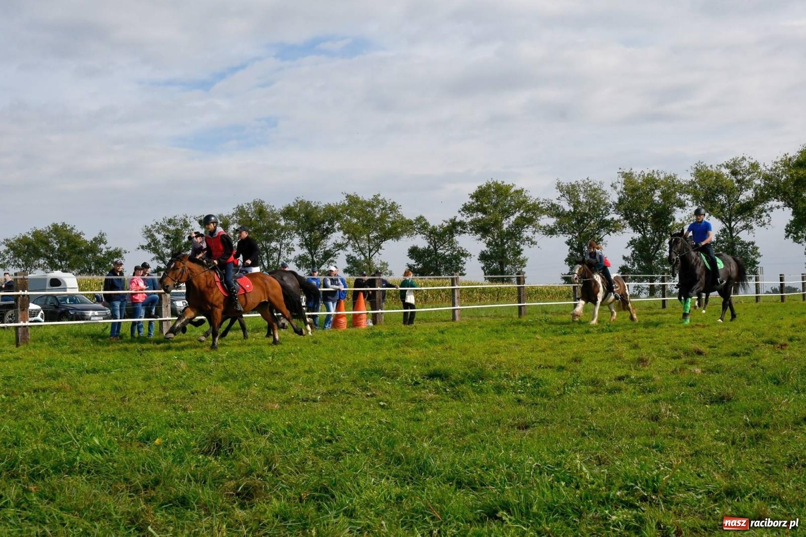 Zdjęcie w galerii na portalu naszraciborz.pl: Ponad sto koni na żerdzińskim Hubertusie [FOTO i WIDEO] wiadomości z regionu