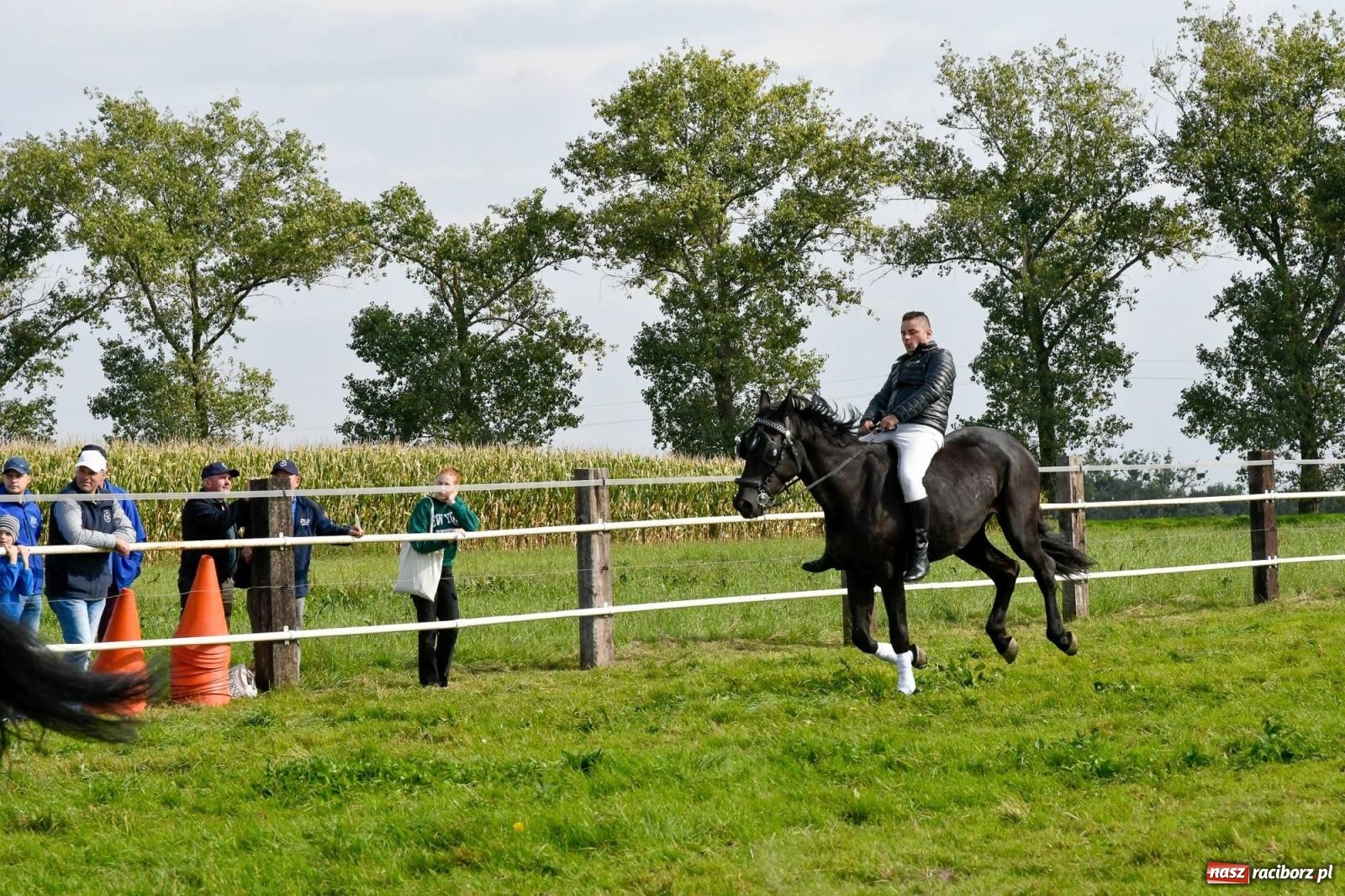 Zdjęcie w galerii na portalu naszraciborz.pl: Ponad sto koni na żerdzińskim Hubertusie [FOTO i WIDEO] wiadomości z regionu