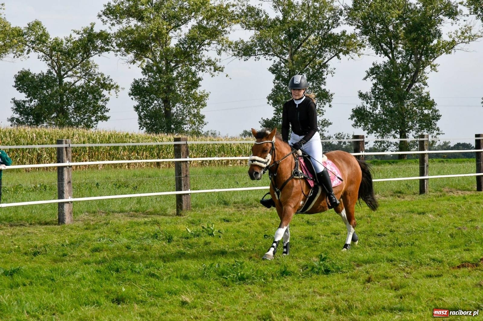 Zdjęcie w galerii na portalu naszraciborz.pl: Ponad sto koni na żerdzińskim Hubertusie [FOTO i WIDEO] wiadomości z regionu