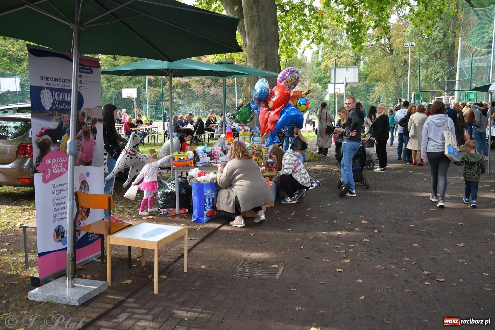 Zdjęcie w galerii na portalu naszraciborz.pl: Racibórz włączył się do pomocy dla Mikiego wiadomości z regionu
