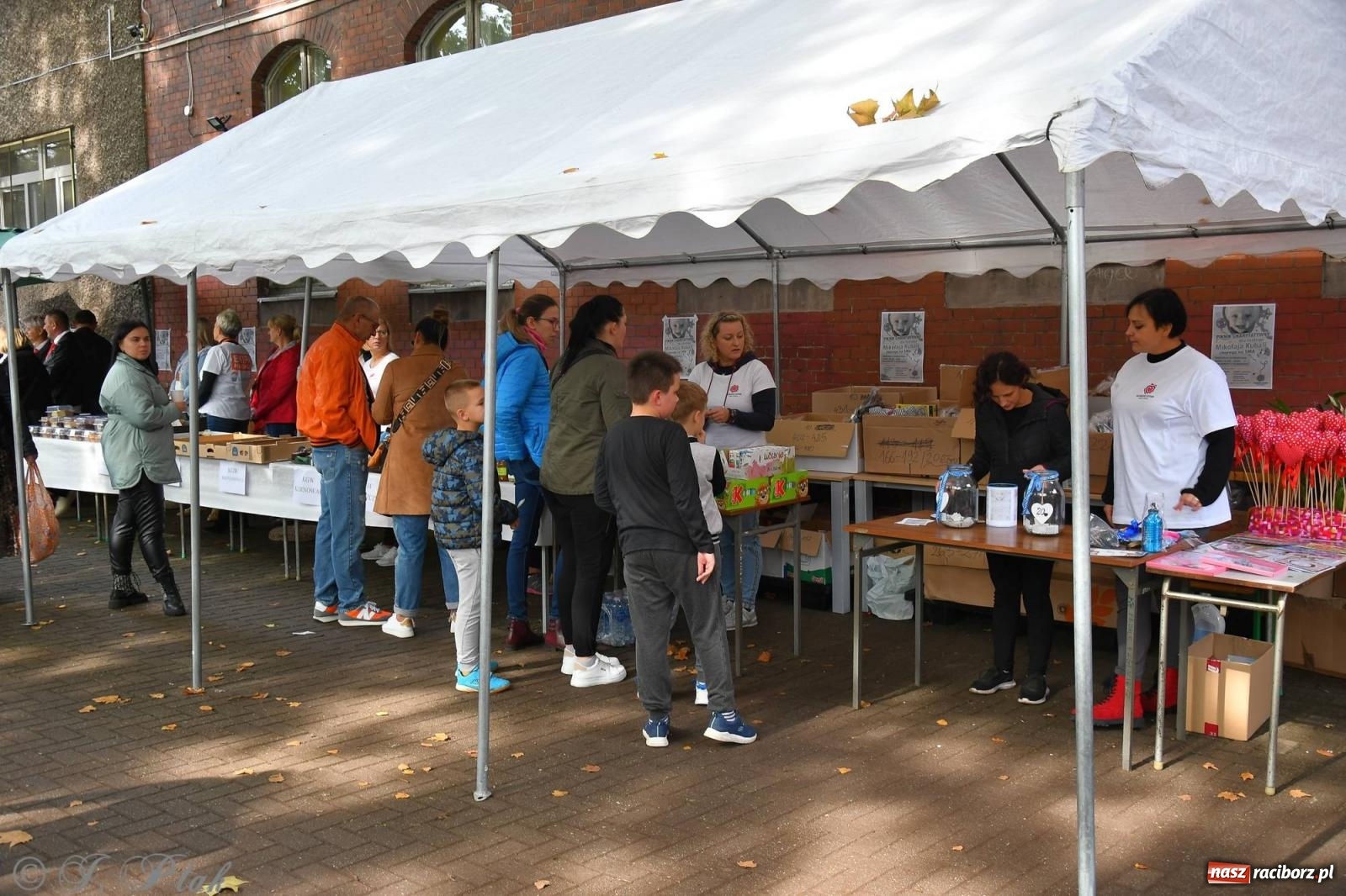 Zdjęcie w galerii na portalu naszraciborz.pl: Racibórz włączył się do pomocy dla Mikiego wiadomości z regionu