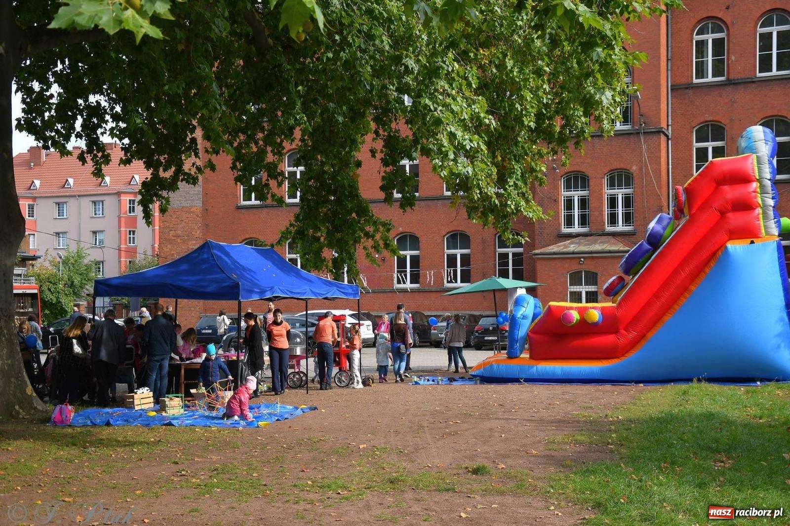 Zdjęcie w galerii na portalu naszraciborz.pl: Racibórz włączył się do pomocy dla Mikiego wiadomości z regionu