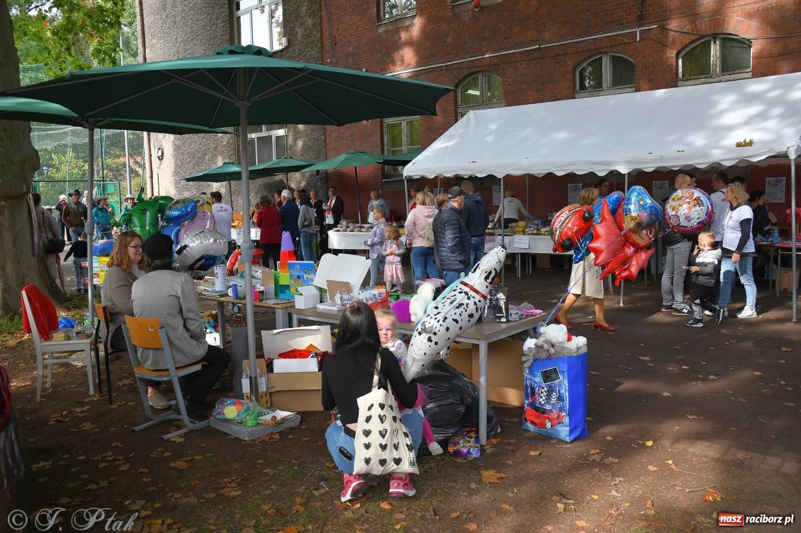 Zdjęcie w galerii na portalu naszraciborz.pl: Racibórz włączył się do pomocy dla Mikiego wiadomości z regionu