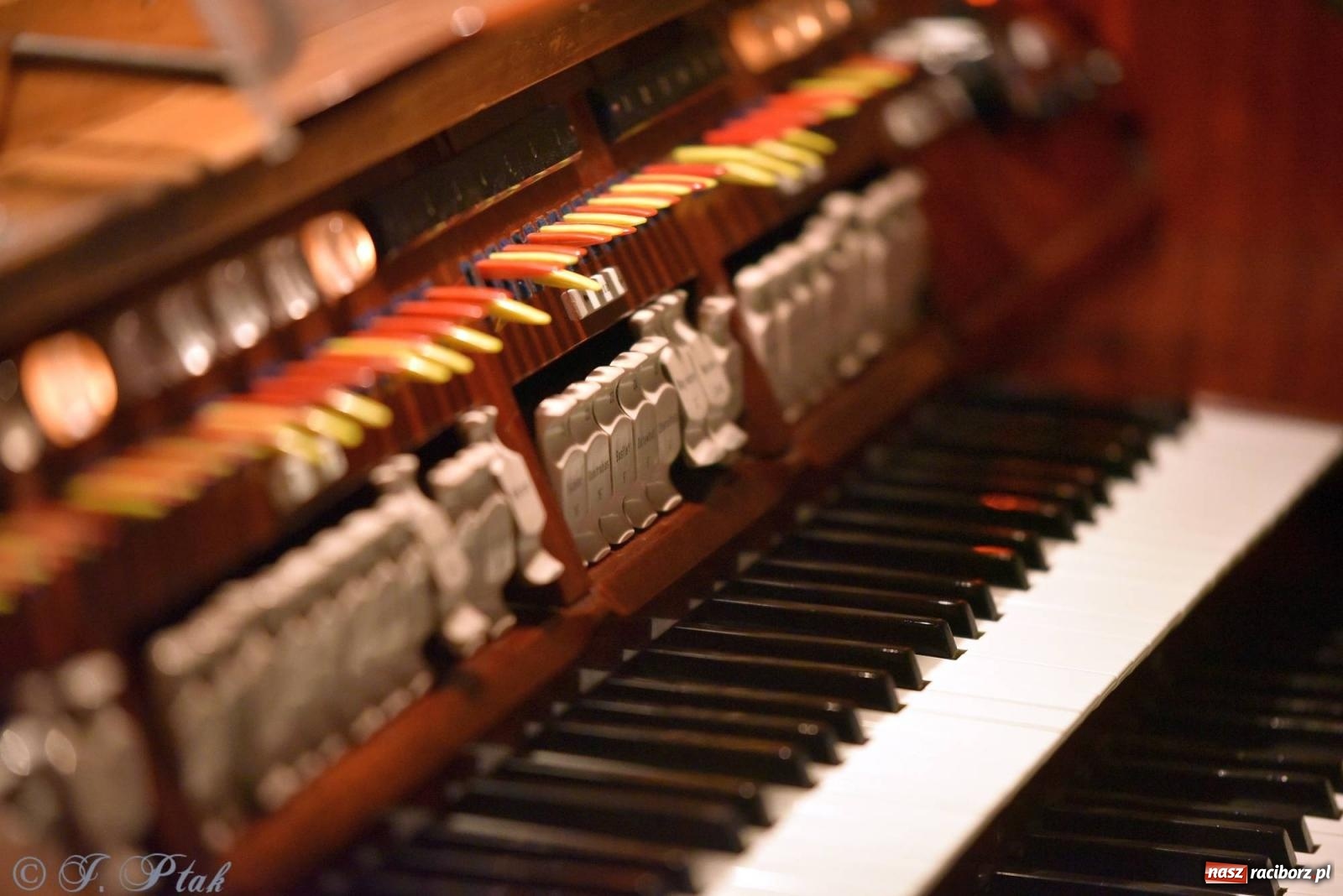 Zdjęcie w galerii na portalu naszraciborz.pl: Solidaris Bras i młodzi wirtuozi organów w kościele na Ostrogu wiadomości z regionu