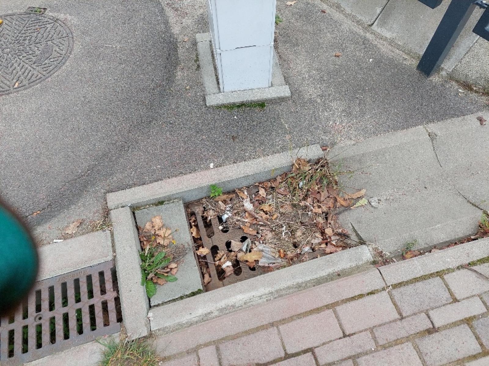 Zdjęcie w galerii na portalu naszraciborz.pl: Smutne obrazki na raciborskim stadionie wiadomości z regionu