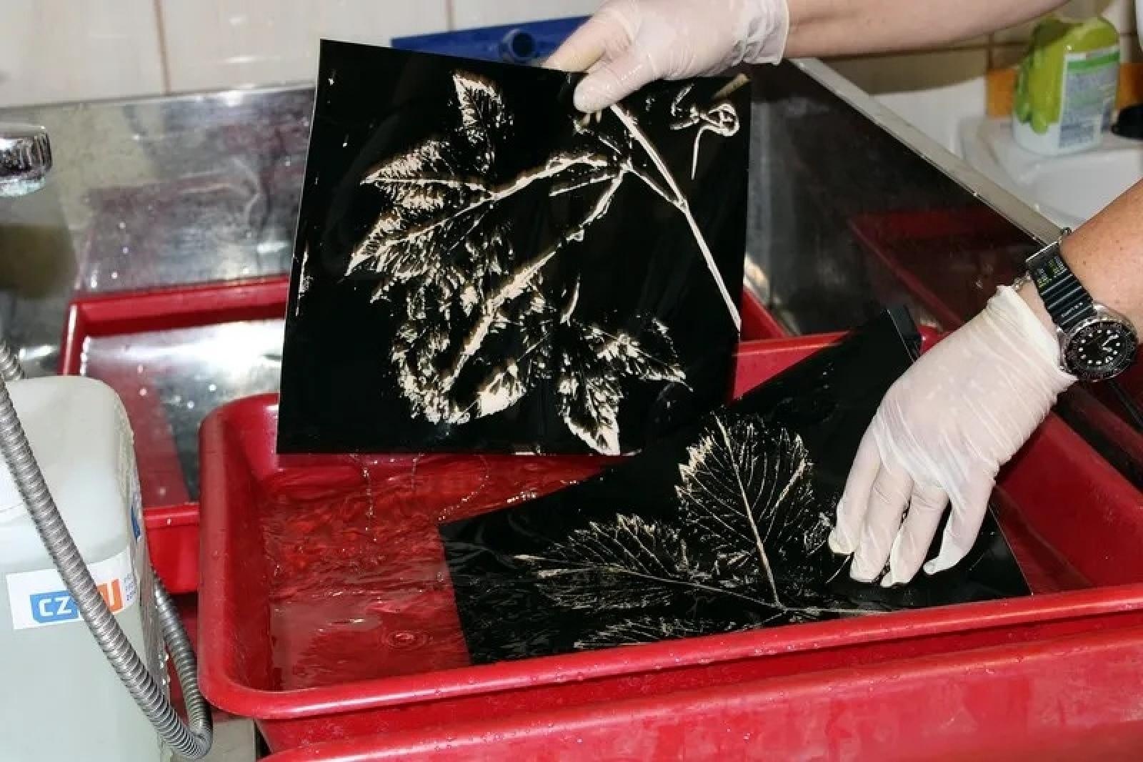 Zdjęcie w galerii na portalu naszraciborz.pl: Spotkanie ze sztuką w Otwartym ogrodzie ZSO nr 1 wiadomości z regionu