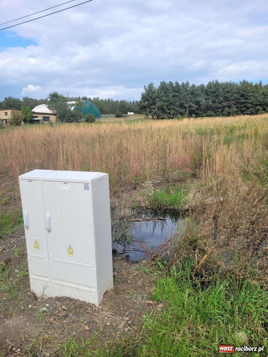 Zdjęcie w galerii na portalu naszraciborz.pl: Czytelnik zaniepokojony stanem Rybnickiej. Pokazuje zdjęcia wiadomości z regionu