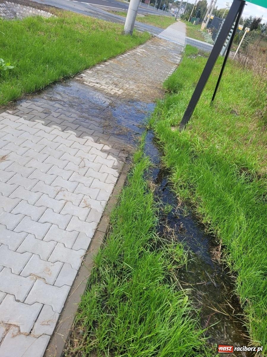 Zdjęcie w galerii na portalu naszraciborz.pl: Czytelnik zaniepokojony stanem Rybnickiej. Pokazuje zdjęcia wiadomości z regionu