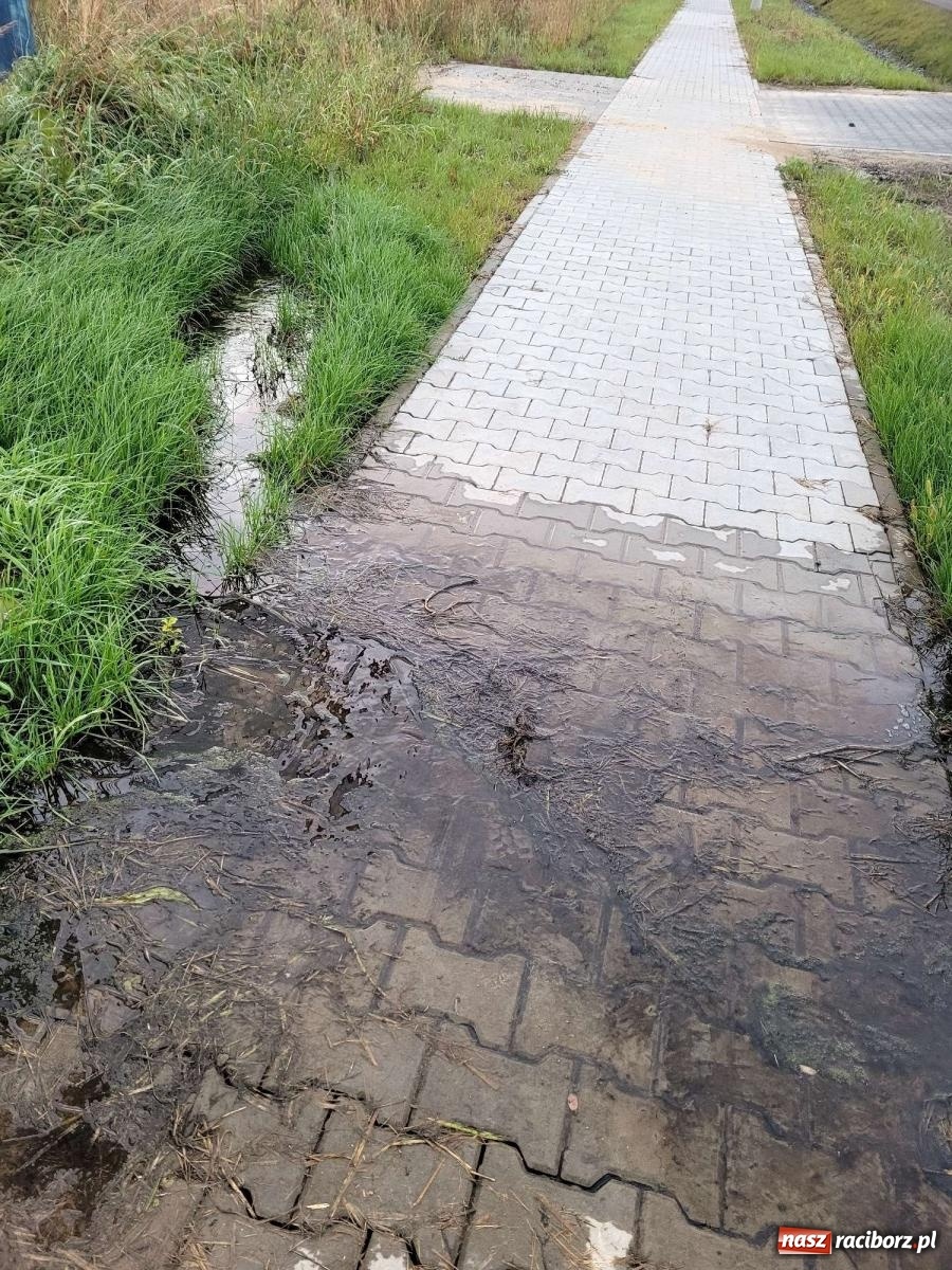 Zdjęcie w galerii na portalu naszraciborz.pl: Czytelnik zaniepokojony stanem Rybnickiej. Pokazuje zdjęcia wiadomości z regionu