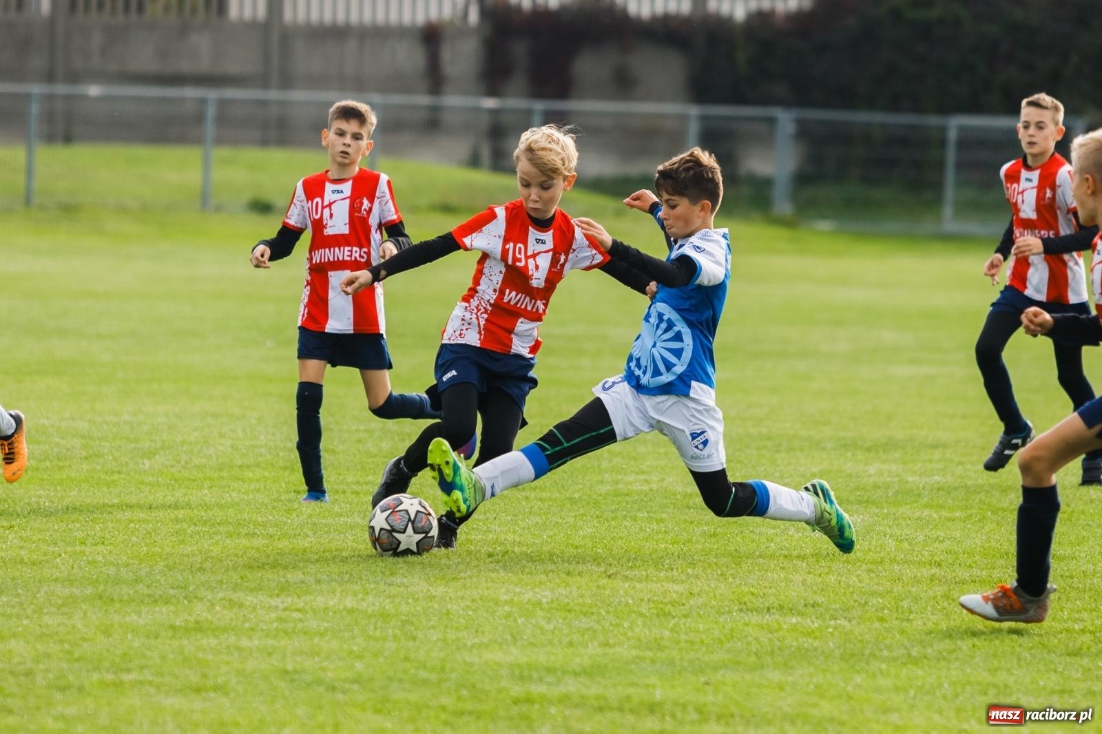 Zdjęcie w galerii na portalu naszraciborz.pl: Młodziki Unii z kompletem punktów. Gołkowice pokonane [FOTO] wiadomości z regionu