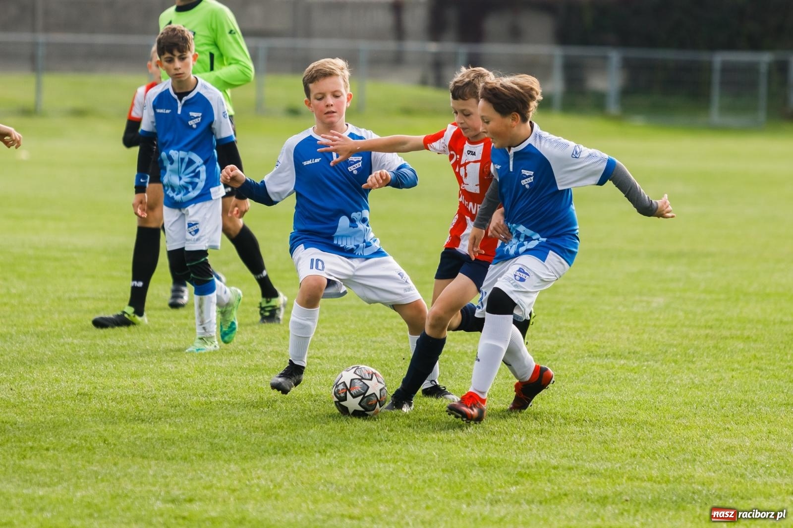 Zdjęcie w galerii na portalu naszraciborz.pl: Młodziki Unii z kompletem punktów. Gołkowice pokonane [FOTO] wiadomości z regionu