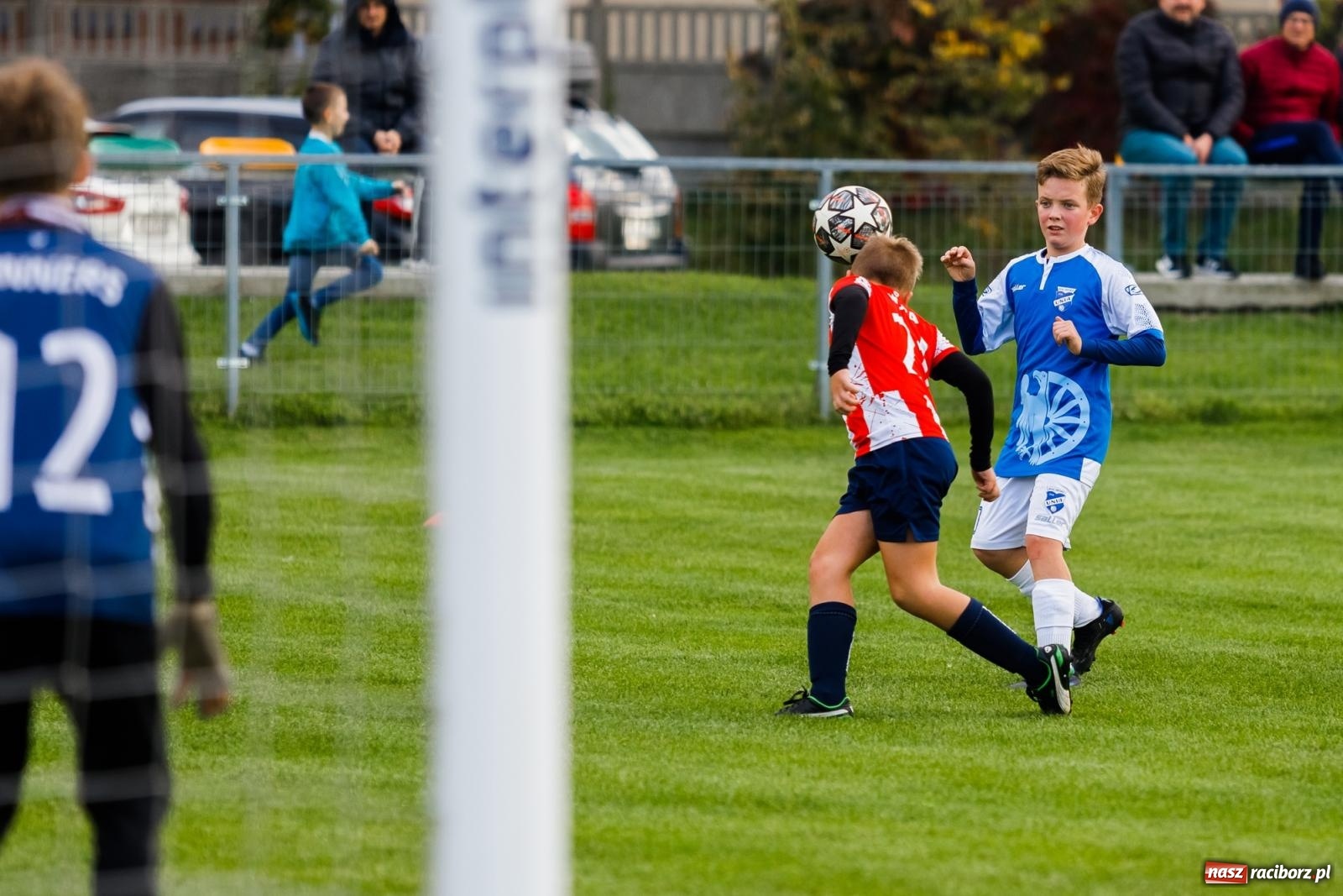 Zdjęcie w galerii na portalu naszraciborz.pl: Młodziki Unii z kompletem punktów. Gołkowice pokonane [FOTO] wiadomości z regionu