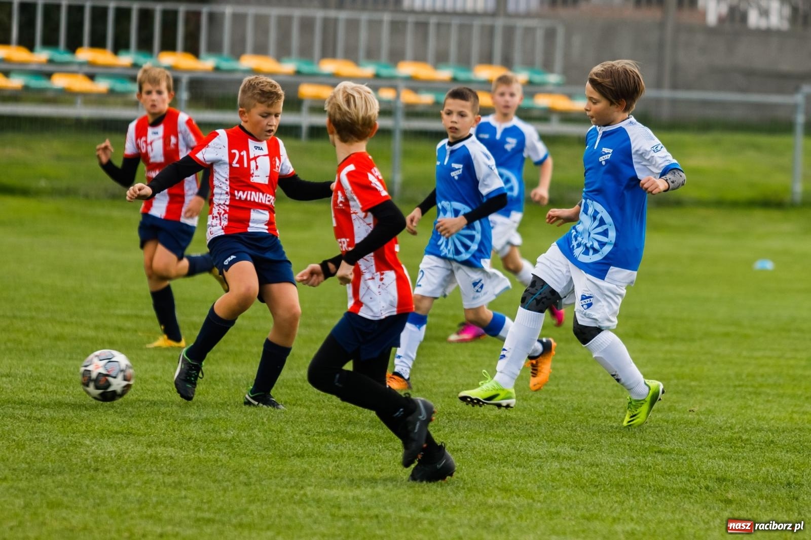 Zdjęcie w galerii na portalu naszraciborz.pl: Młodziki Unii z kompletem punktów. Gołkowice pokonane [FOTO] wiadomości z regionu