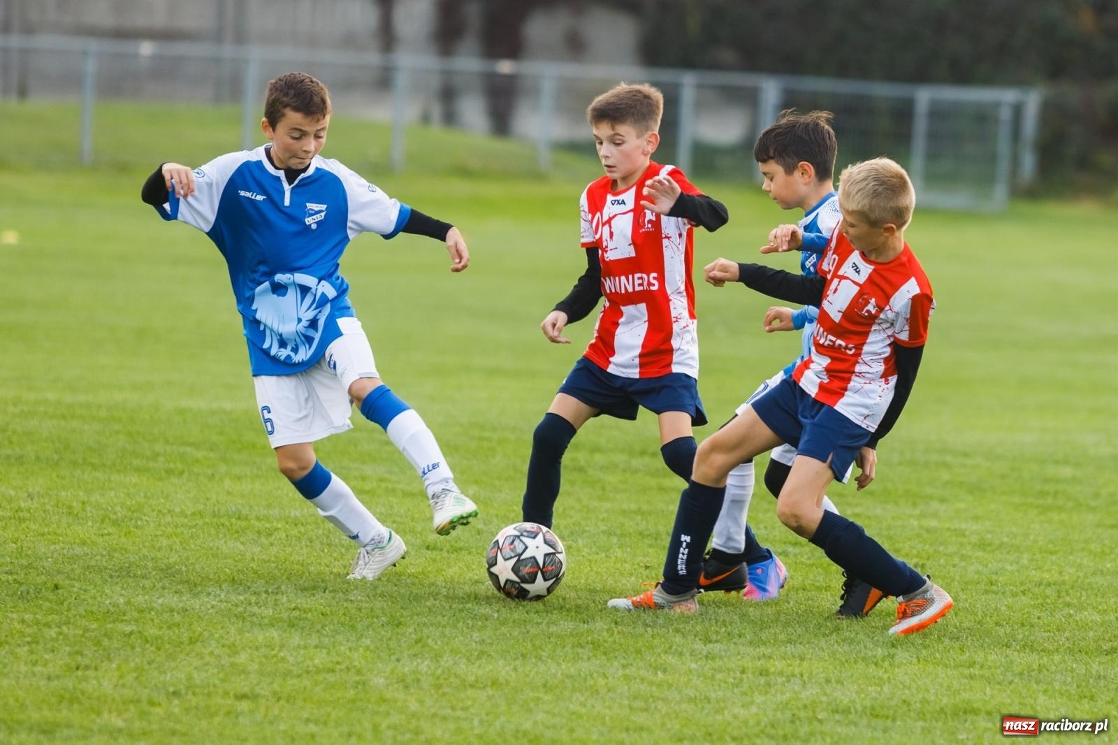 Zdjęcie w galerii na portalu naszraciborz.pl: Młodziki Unii z kompletem punktów. Gołkowice pokonane [FOTO] wiadomości z regionu