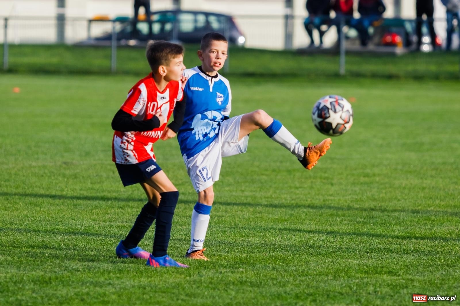 Zdjęcie w galerii na portalu naszraciborz.pl: Młodziki Unii z kompletem punktów. Gołkowice pokonane [FOTO] wiadomości z regionu