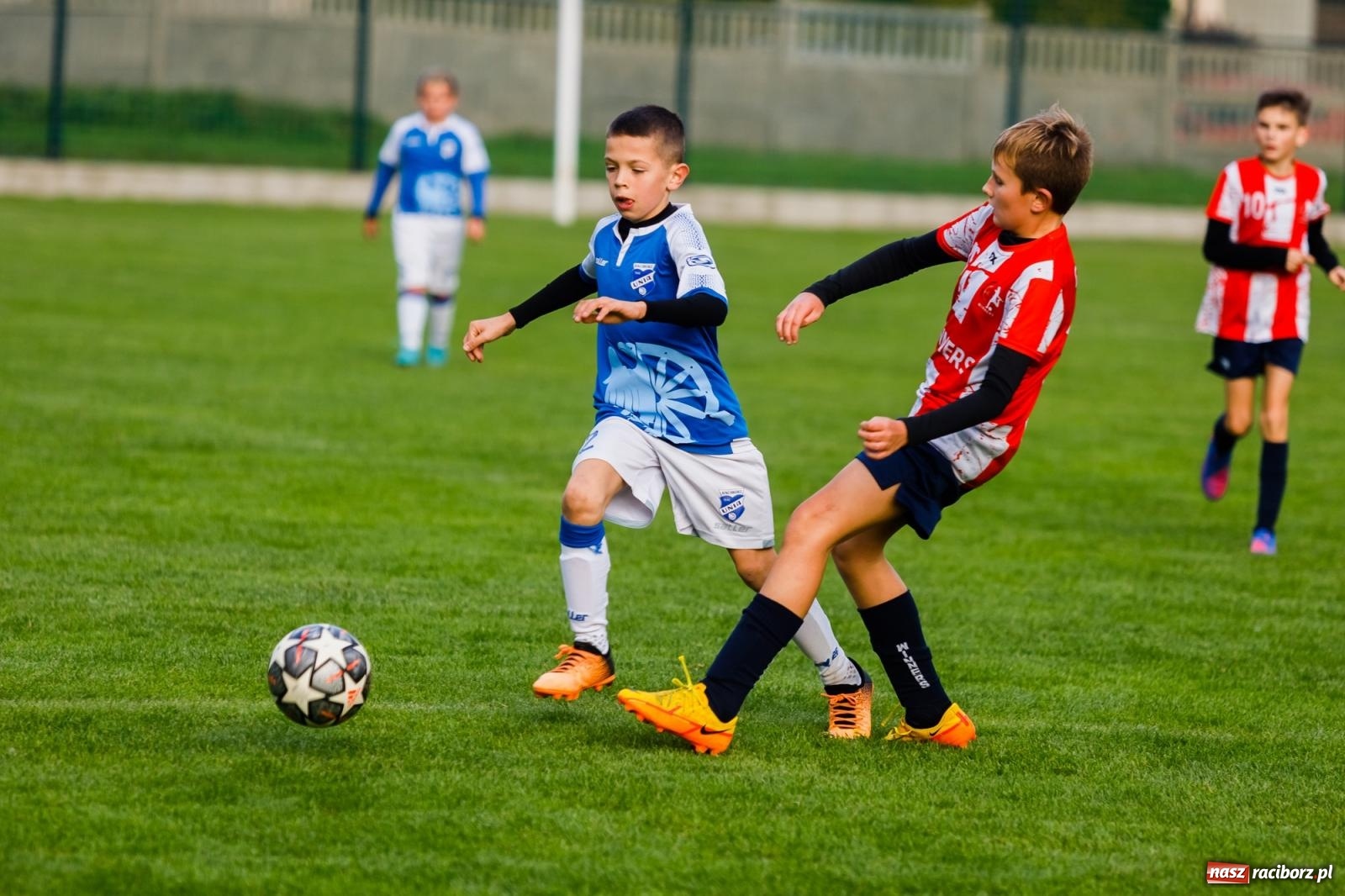 Zdjęcie w galerii na portalu naszraciborz.pl: Młodziki Unii z kompletem punktów. Gołkowice pokonane [FOTO] wiadomości z regionu