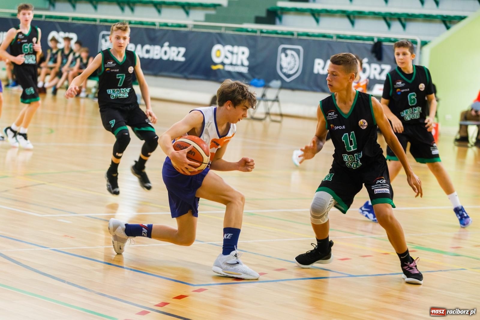 Zdjęcie w galerii na portalu naszraciborz.pl: Koszykówka. Choć bardzo się starali, Opola nie pokonali [FOTO] wiadomości z regionu