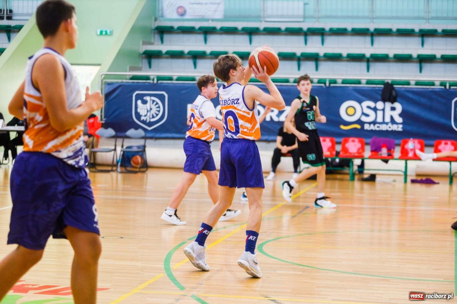 Zdjęcie w galerii na portalu naszraciborz.pl: Koszykówka. Choć bardzo się starali, Opola nie pokonali [FOTO] wiadomości z regionu