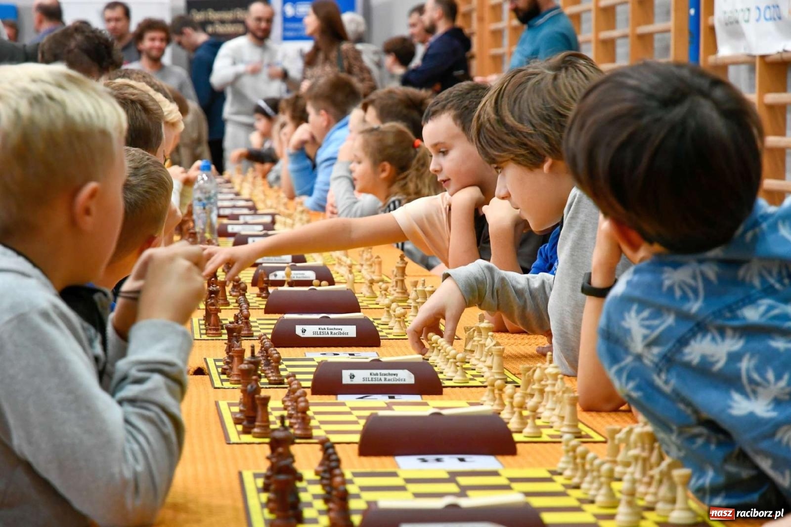 Zdjęcie w galerii na portalu naszraciborz.pl: Memoriał szachowy im. Alfreda Chrobaka [FOTO i WIDEO] wiadomości z regionu