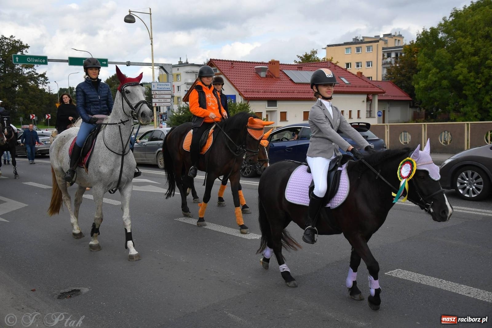Zdjęcie w galerii na portalu naszraciborz.pl: Raciborski Hubertus. Parada i gonitwa [FOTO i WIDEO] wiadomości z regionu
