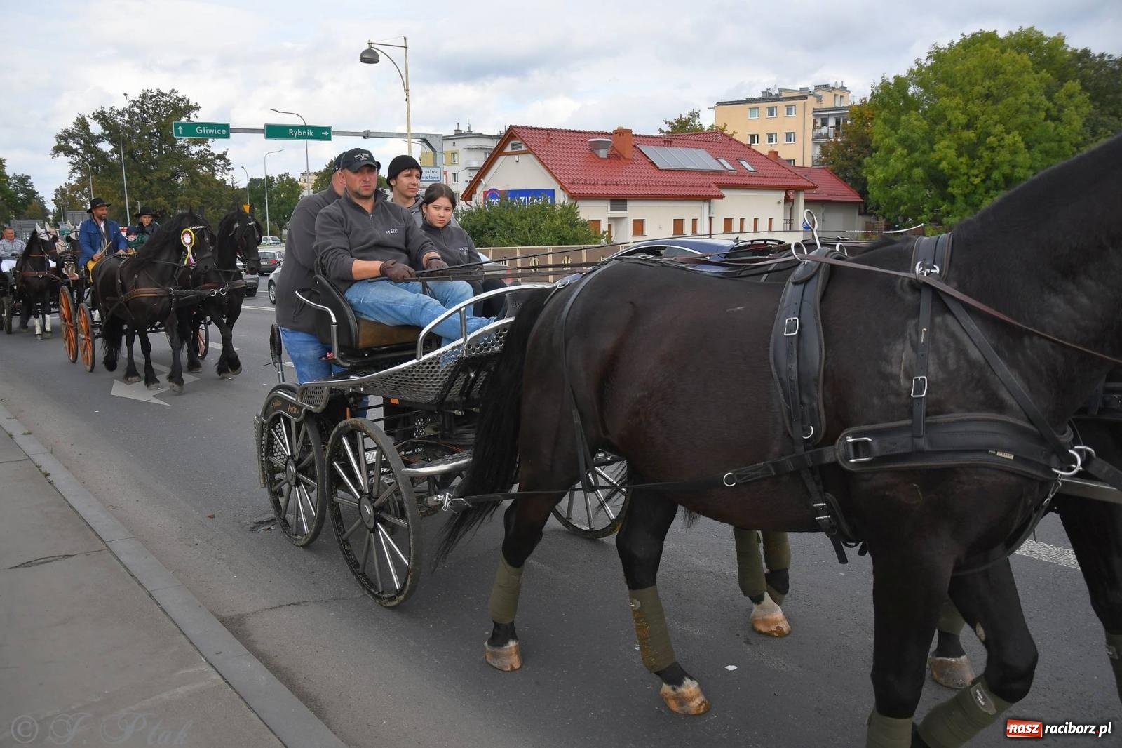 Zdjęcie w galerii na portalu naszraciborz.pl: Raciborski Hubertus. Parada i gonitwa [FOTO i WIDEO] wiadomości z regionu