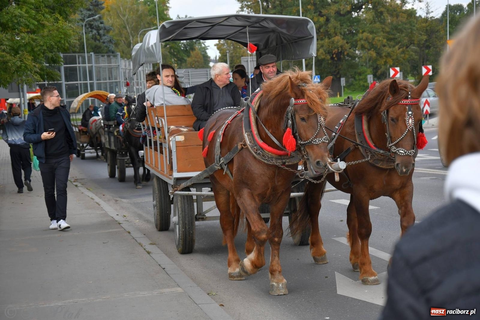 Zdjęcie w galerii na portalu naszraciborz.pl: Raciborski Hubertus. Parada i gonitwa [FOTO i WIDEO] wiadomości z regionu