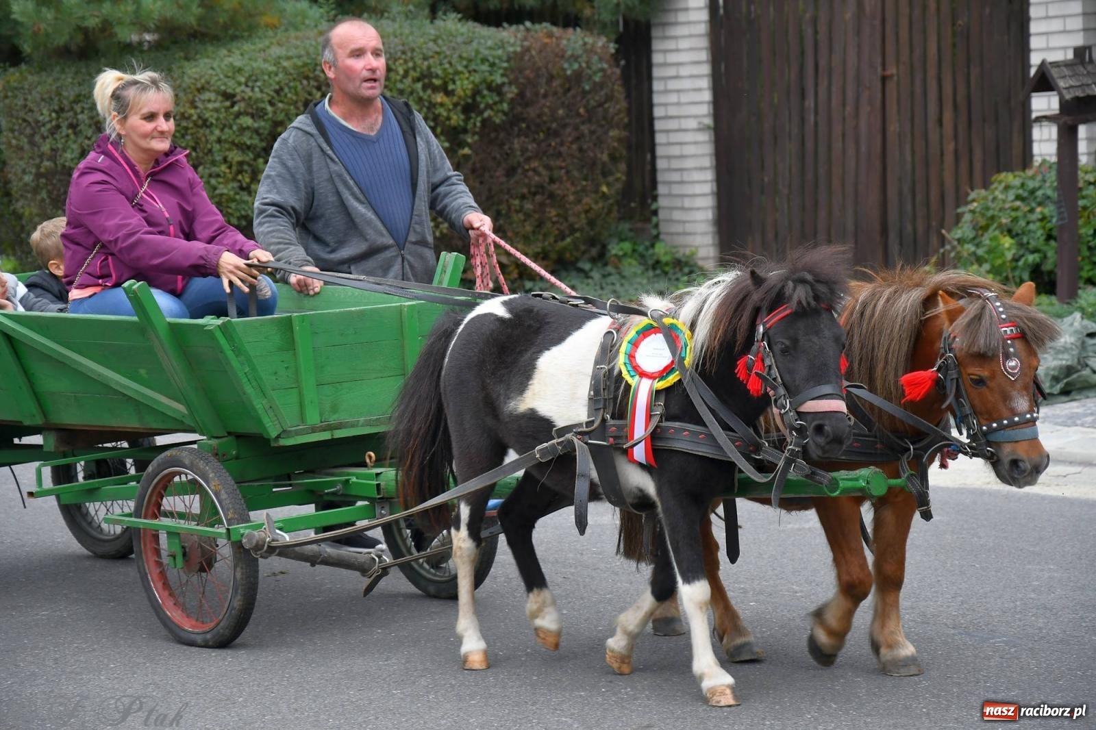 Zdjęcie w galerii na portalu naszraciborz.pl: Raciborski Hubertus. Parada i gonitwa [FOTO i WIDEO] wiadomości z regionu