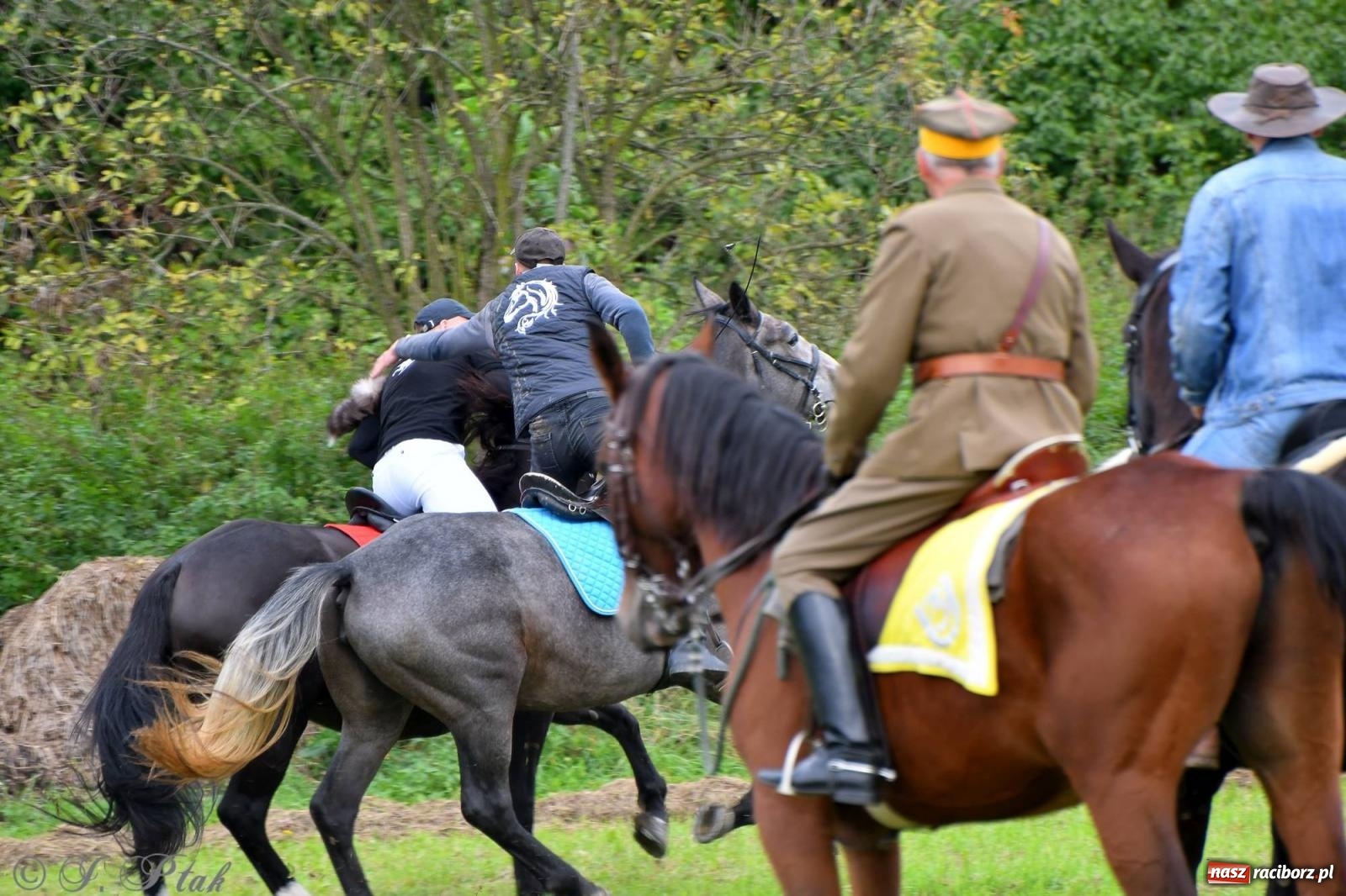 Zdjęcie w galerii na portalu naszraciborz.pl: Raciborski Hubertus. Parada i gonitwa [FOTO i WIDEO] wiadomości z regionu
