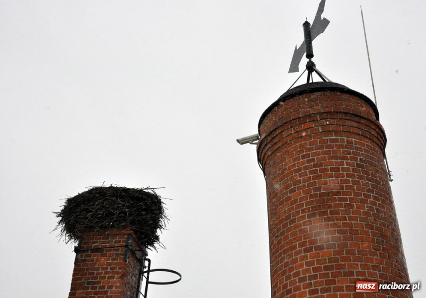 Zdjęcie w galerii na portalu naszraciborz.pl: Świąteczny mega kiermasz w Pietrowicach wiadomości z regionu