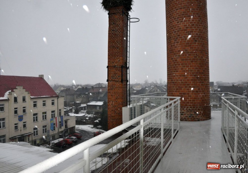 Zdjęcie w galerii na portalu naszraciborz.pl: Świąteczny mega kiermasz w Pietrowicach wiadomości z regionu