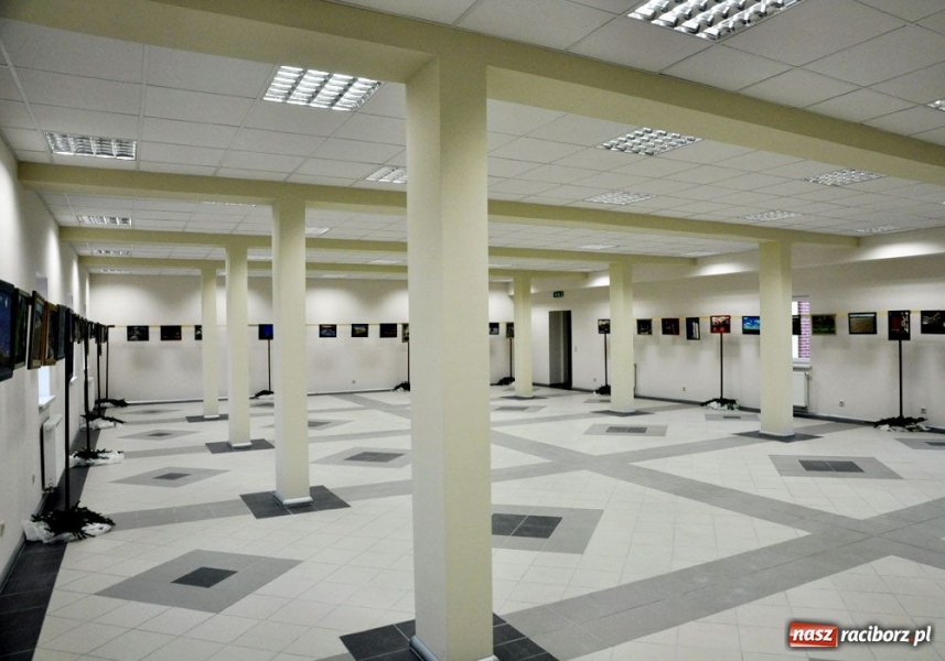 Zdjęcie w galerii na portalu naszraciborz.pl: Świąteczny mega kiermasz w Pietrowicach wiadomości z regionu