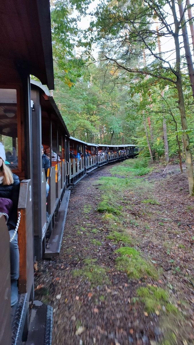 Zdjęcie w galerii na portalu naszraciborz.pl: Znamy najlepszych grzybiarzy ziemi raciborskiej [FOTO] wiadomości z regionu