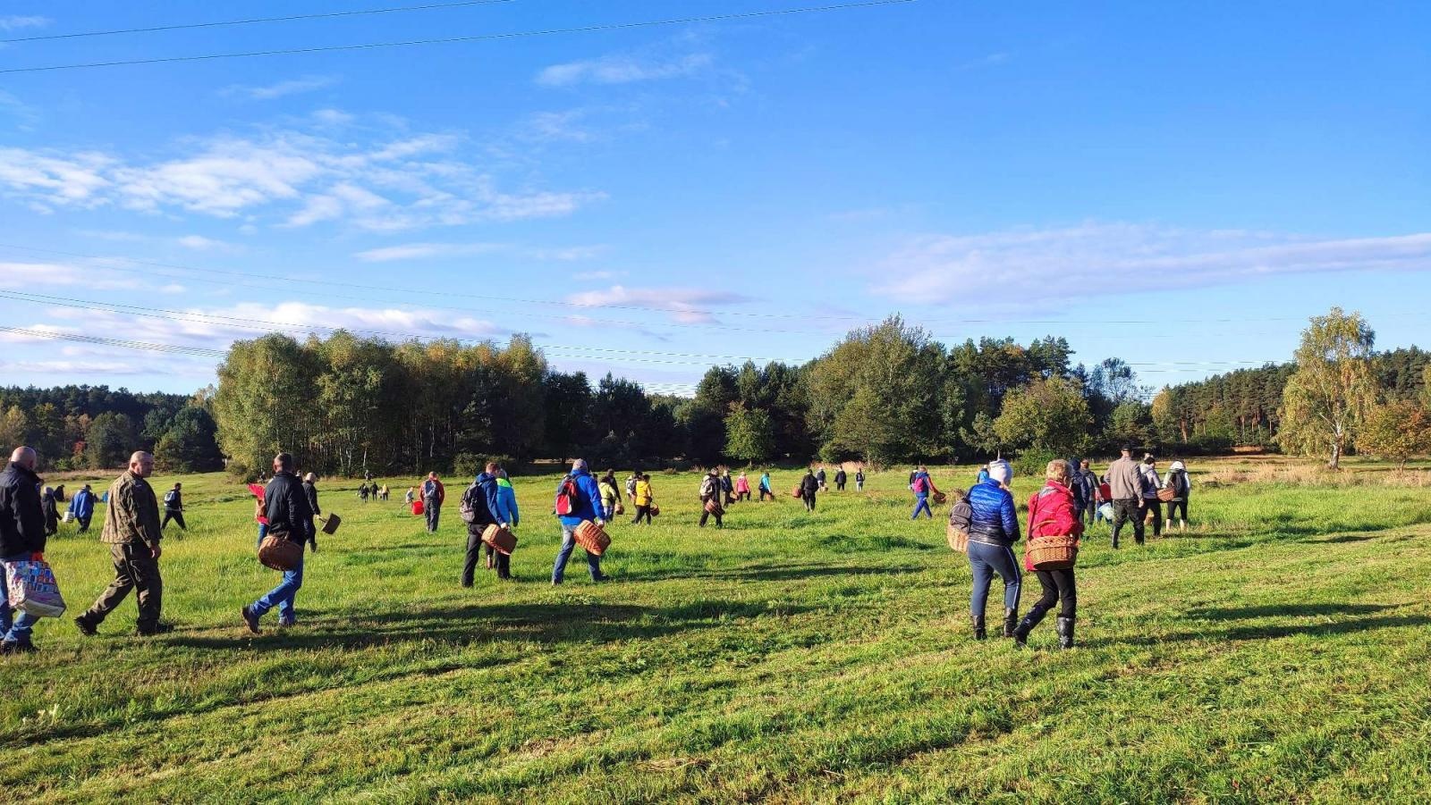 Zdjęcie w galerii na portalu naszraciborz.pl: Znamy najlepszych grzybiarzy ziemi raciborskiej [FOTO] wiadomości z regionu