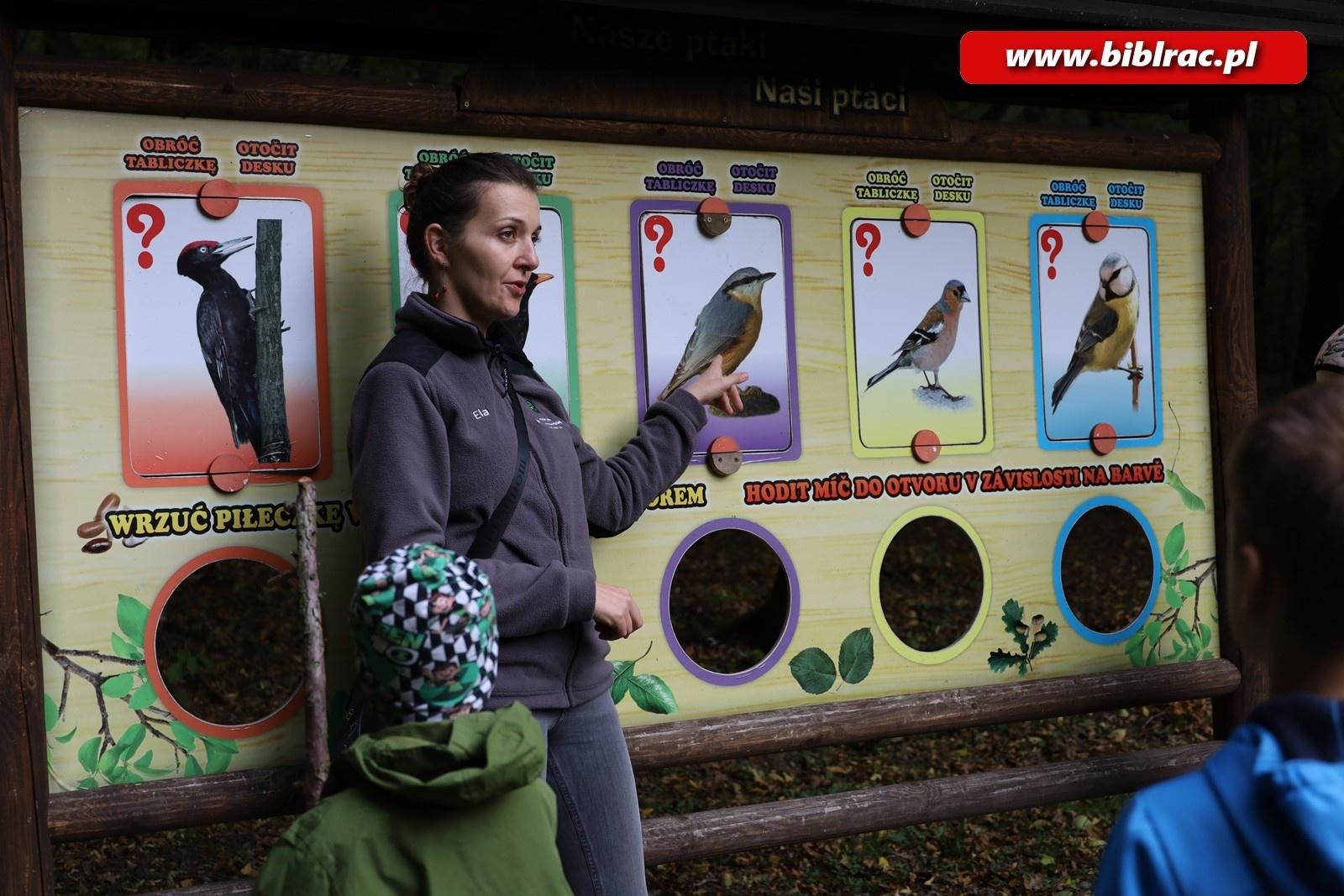Zdjęcie w galerii na portalu naszraciborz.pl: Spacer ornitologiczny z tłumaczem języka migowego wiadomości z regionu