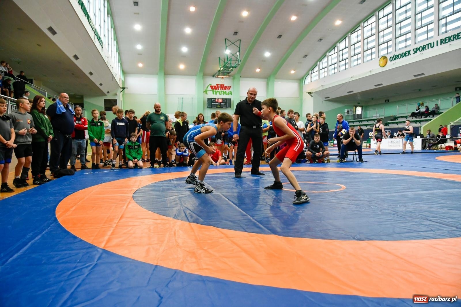 Zdjęcie w galerii na portalu naszraciborz.pl: Kadeci z Polski, Ukrainy i Czech rywalizują na matach w Raciborzu [FOTO i WIDEO] wiadomości z regionu