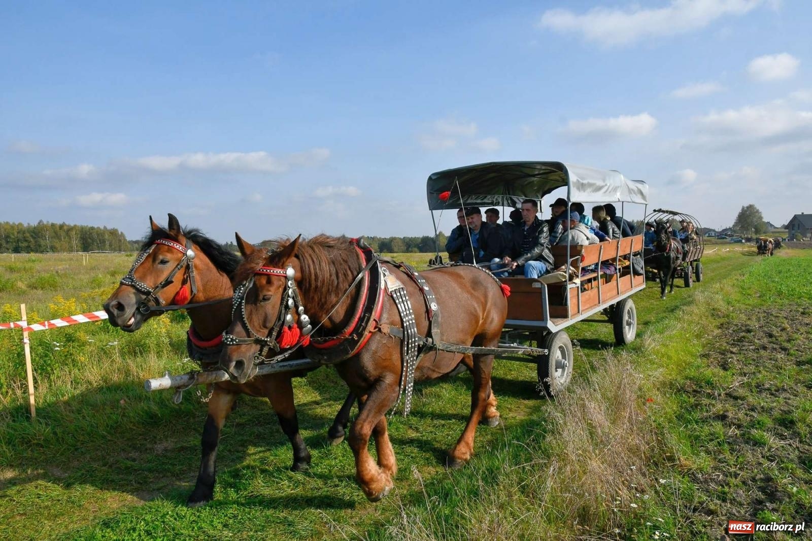 Zdjęcie w galerii na portalu naszraciborz.pl: Parada i pogoń z lisem, czyli piknik św. Huberta w Kornowacu [FOTO i WIDEO] wiadomości z regionu